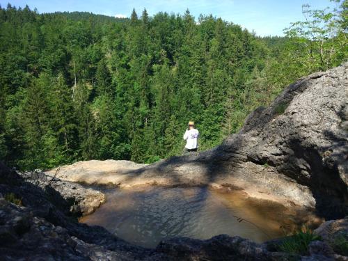 a person standing on a rock near a river at Tourist Farm Strle With Great Local Food in Cerknica