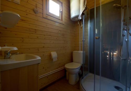 a bathroom with a toilet and a sink and a shower at Le Petit Robinson in Champvert