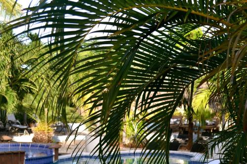 Taman di luar Bananas Apartments Adults Only