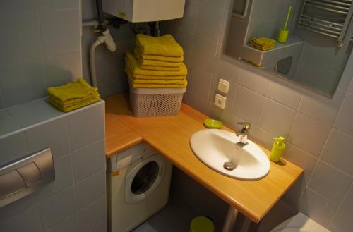 ein Badezimmer mit einem Waschbecken und einer Waschmaschine in der Unterkunft Sopocki Dworek in Sopot