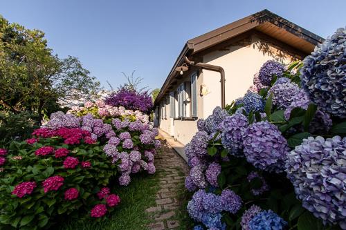 a garden of purple and pink flowers next to a building at Villa Hermes in San Ferdinando