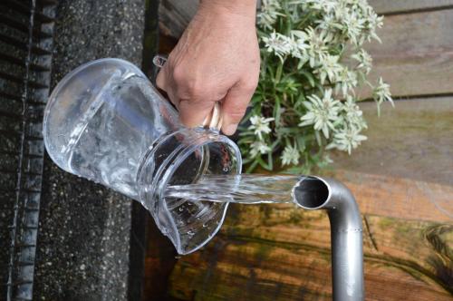 a person pouring water from a glass pitcher at Lahnerhof in Campo Tures