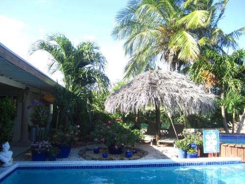 Kolam renang di atau dekat dengan Bananas Apartments Adults Only