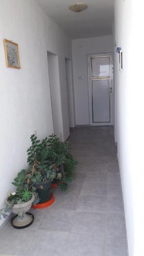 Фотография из галереи Rooms Sijak в Баре