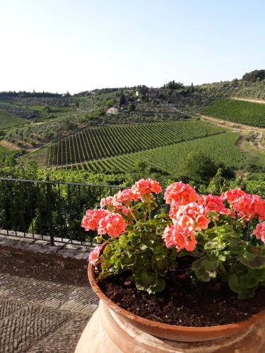 a pot of flowers sitting on a ledge overlooking a vineyard at La Vecchia Quercia in Pergine Valdarno