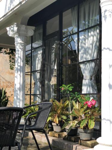 two chairs and potted plants in front of a window at Argya Guesthouse in Yogyakarta