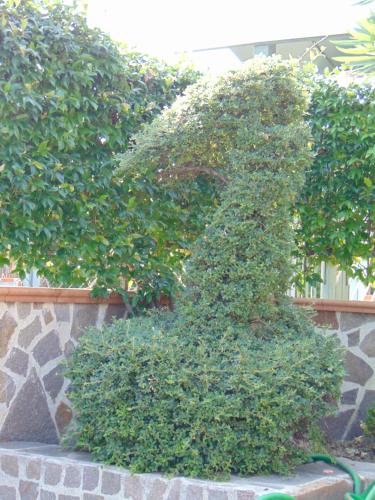 a bush shaped like a letter k in front of a wall at Villa Celeste B&B in Pontecagnano