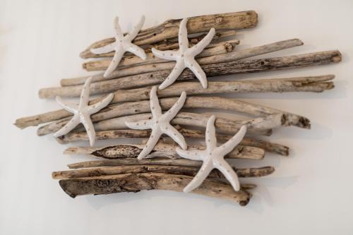 a group of driftwood starfish on a white background at Love & Fama Hotel in Sabaudia