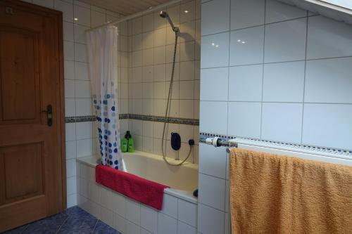 a bathroom with a shower and a shower curtain at Haus Riegseeblick in Riegsee