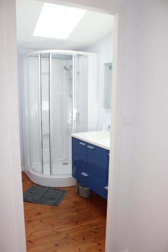 La salle de bains est pourvue d'une douche et d'une armoire bleue. dans l'établissement La Maison d'Auguste, à Saint-Xandre