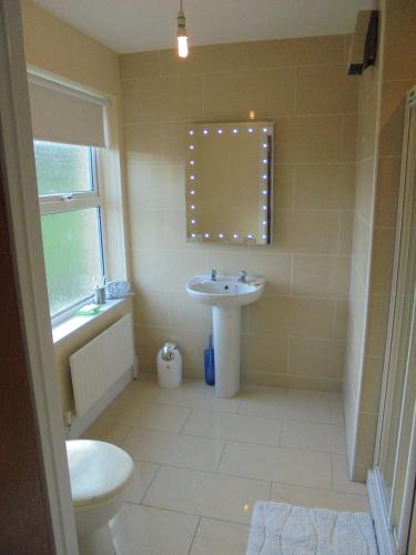 a bathroom with a sink and a toilet at Applewood Heights in Glenariff