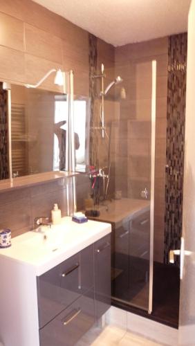 une salle de bain avec une douche, un lavabo et un miroir dans l'établissement Appart Bord De Mer Dinard, à Dinard