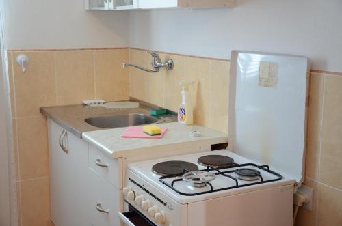 a small kitchen with a stove and a sink at Matovic Apartments in Dobra Voda