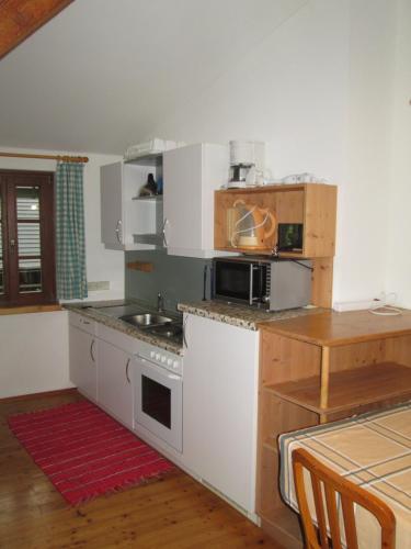 a kitchen with a stove and a microwave at Schloss Manndorf Gästehaus in Kötschach