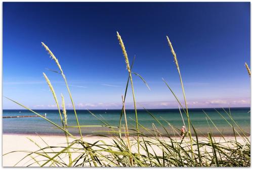 Galeriebild der Unterkunft Käpt'n Böff in Vadersdorf
