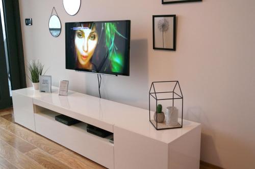 A television and/or entertainment centre at Studio apartman Kristina i Anamaria