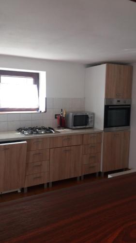 a kitchen with a stove and a microwave at Vila Puiu Borsa MM in Borşa