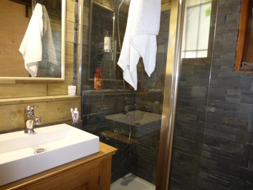 ein Bad mit einem Waschbecken und einer Dusche in der Unterkunft CAP DES NEIGES 1 in Barcelonnette