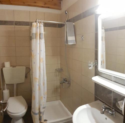 a bathroom with a toilet and a sink and a shower at Hotel Venus in Paralia Katerinis