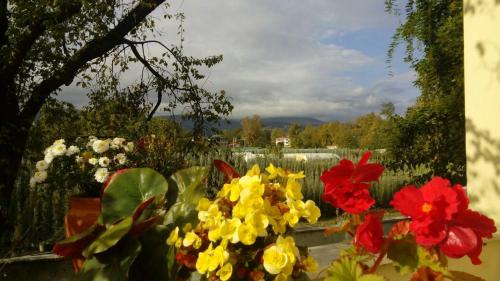 a bunch of colorful flowers in a field at Eren Villa in Sapanca