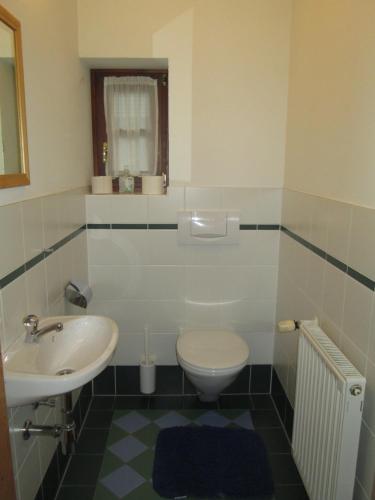 a bathroom with a toilet and a sink at Schloss Manndorf Gästehaus in Kötschach