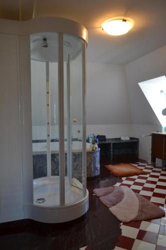 a bathroom with a glass shower in a room at Villa Schwarzwald in Schluchsee