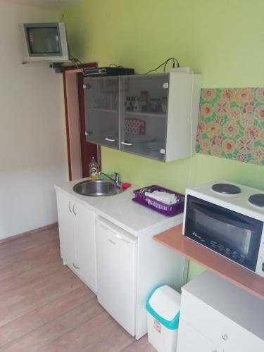 a small kitchen with a sink and a microwave at Petrovic house in Herceg-Novi