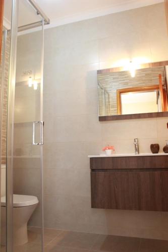 a bathroom with a toilet and a sink and a mirror at Graciosa Guest House in Ponte de Lima