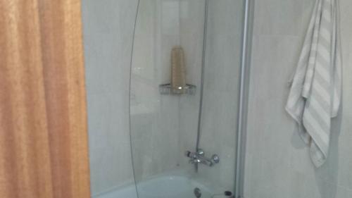 a shower with a glass door with a sink at Apartamento O pombal in Cambados