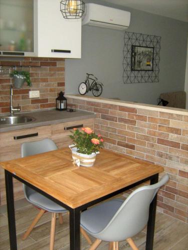 studio apartman luki
