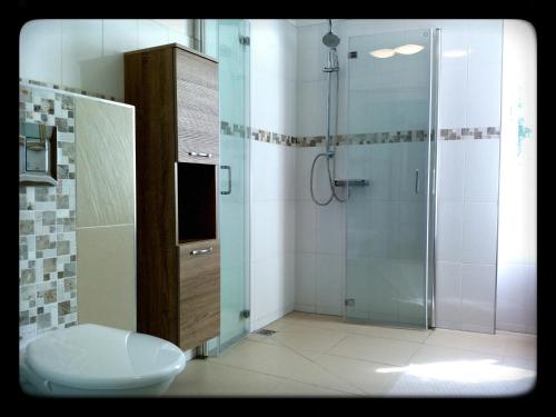 Un baño con ducha, inodoro y lavabo. en Haus VITALIS - Guesthouse Burgenland, en Sigless