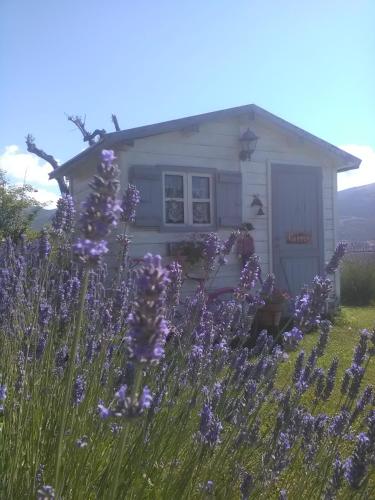 Gallery image of B&B Fonte Cugno in Gualdo Tadino