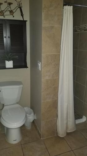 a bathroom with a toilet and a shower curtain at Gondola Lodge & Tahoe Beach Club in South Lake Tahoe