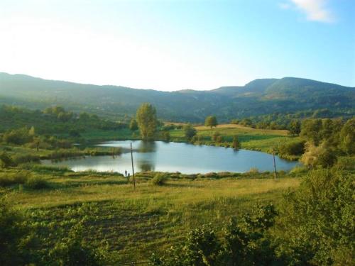 a lake in a field with mountains in the background at Racha guest house MERO in Ambrolauri