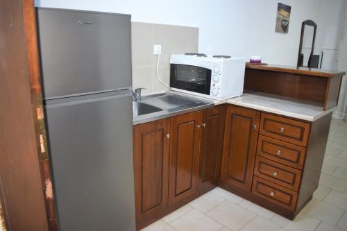 a kitchen with a refrigerator and a microwave at Villa Madeleine Tower View in Nea Fokea