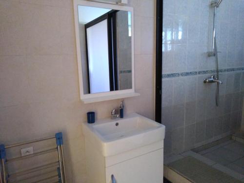 a bathroom with a sink and a shower and a mirror at Les pélerins in Pointe-Noire