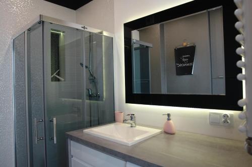 uma casa de banho com um lavatório, um chuveiro e um espelho. em Apartament City Centre 108 em Olsztyn