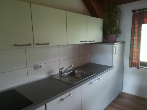 eine Küche mit einem Waschbecken und weißen Schränken in der Unterkunft Apartma PR PEKOVCU in Bohinj