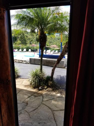 a view of a palm tree from a window at Hotel Monte Campana Heredia in Birrí