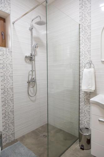a shower with a glass door in a bathroom at Vasiliki in Virpazar
