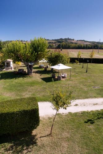 a small tree in a field with a tent at Taverna dei Guelfi in Senigallia