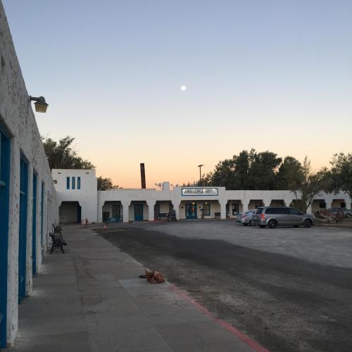 a dog laying on the side of a parking lot at Amargosa Opera House & Hotel in Death Valley Junction