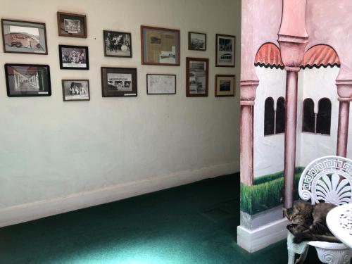 a cat laying on a chair in a room with pictures on the wall at Amargosa Opera House & Hotel in Death Valley Junction