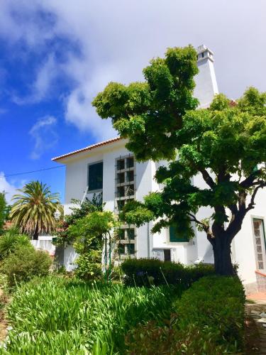 Cascais Seaside Garden Villa