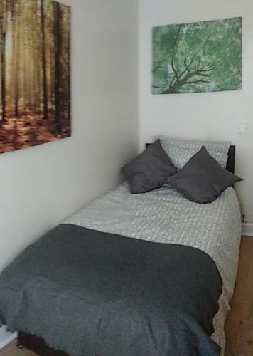 ワーキントンにあるDerwent Street Apartment 1 - 3 Bed Self Catering Apartment - Self Contained - 1 Double & 2 Single Roomsの壁に2枚の写真が飾られたベッドルームのベッド1台