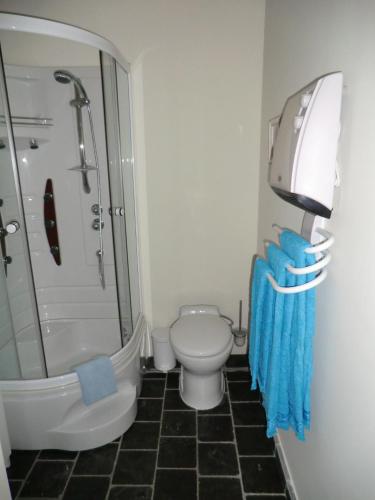 a bathroom with a toilet and a shower and a sink at La Bastide de Fontaille in Saint-Félicien