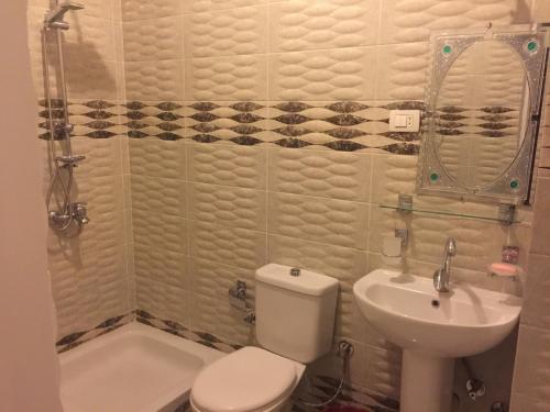 La salle de bains est pourvue de toilettes et d'un lavabo. dans l'établissement Gold Ibis Hotel, à Louxor