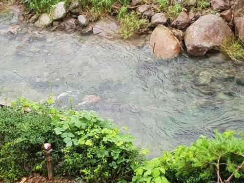 a stream of water with rocks and plants at Jirisan One Night Two Days Pension in Gurye