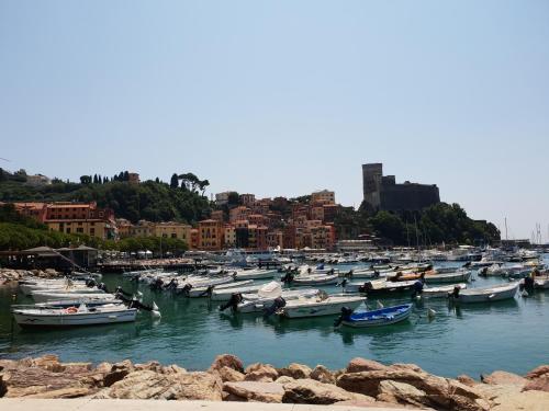a bunch of boats are docked in a harbor at Villa Mara in Riccò del Golfo di Spezia