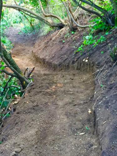 a dirt road with trees on the side of it at Honey hill apartment Fruska Gora in Čerević